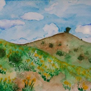 Desierto Florido