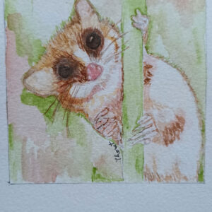Monito del monte